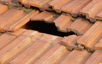 roof repair Llanwnog, Powys