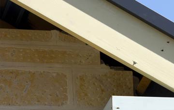 soffit repair Llanwnog
